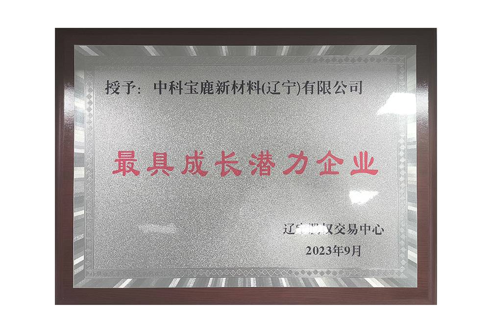 最具成长潜力企业